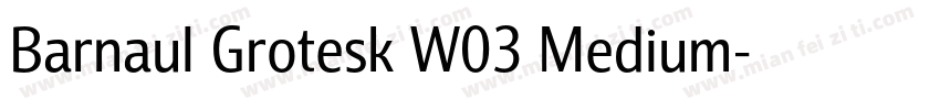 Barnaul Grotesk W03 Medium字体转换